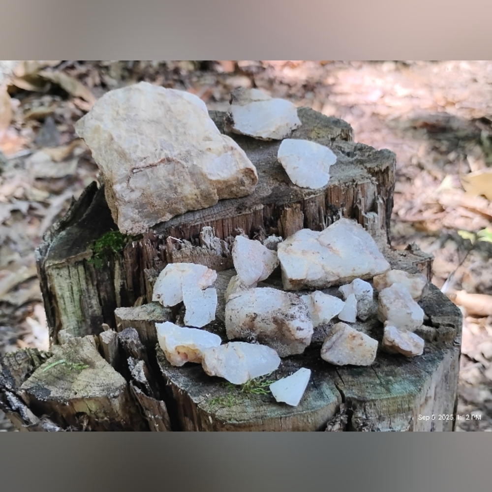 Freshly Harvested Quartz Collection - Picture 5 of 5